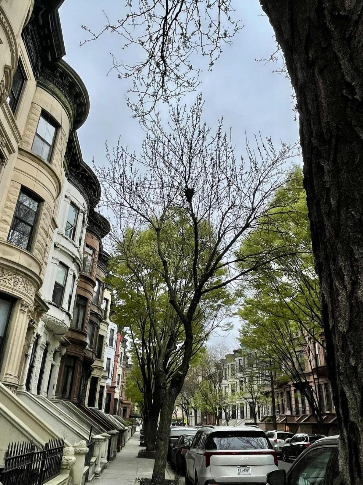 Nyc Townhouse Apartment New York Ngoại thất bức ảnh