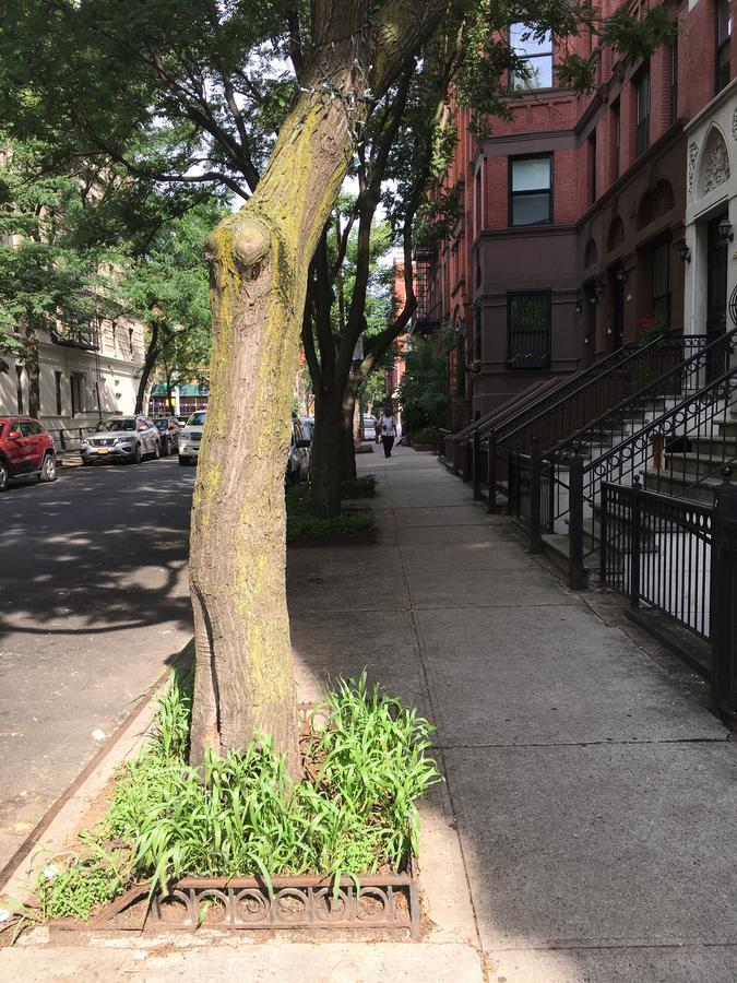 Nyc Townhouse Apartment New York Ngoại thất bức ảnh